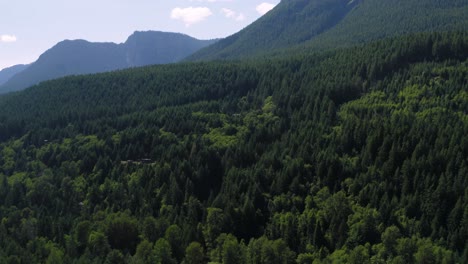 Sobrevolando-El-Exuberante-Bosque-Verde-De-Coníferas-Cerca-Del-Parque-Nacional-Del-Monte-Rainier-En-Packwood,-Estado-De-Washington,-Estados-Unidos
