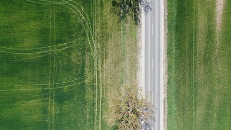 Road-drone-view-sring-in-hungary