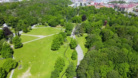 Drone-Ascending-Through-The-Lush-Green-Park-Landscapes-In-Slottskogen,-Gothenburg,-Sweden---Drone-Shot