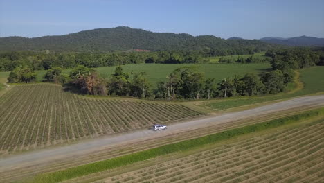 Aerial:-Drone-tracking-a-vehicle-driving-along-a-dirt-track-until-the-drone-stops-and-pans-to-reveal-the-landscape,-near-Babinda-in-Far-North-Queensland