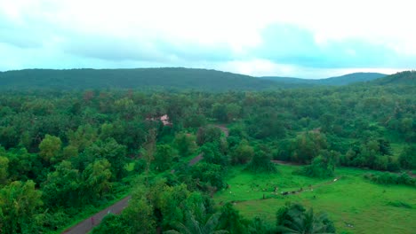 green-village-evening-scene-goat-in-forground-india-maharashtra