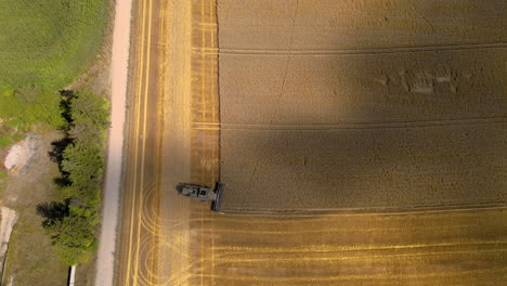 Agricultor-Conduciendo-Una-Máquina-Cosechadora-A-Punto-De-Abordar-Una-Nueva-Línea-En-Un-Campo-Dorado-Iluminado-Por-El-Sol,-Sobrevuelo-Aéreo-De-Drones