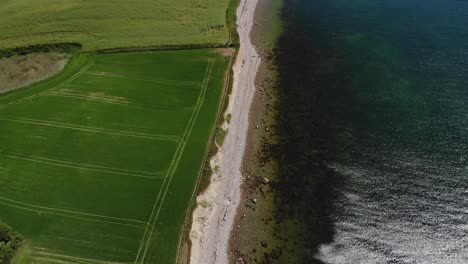 Aerial-top-down-tilt-of-Danish-coastline-with-green-fields-and-calm-ocean-on-a-beautiful-summer-day