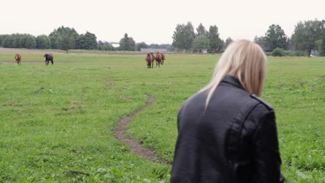Rearview-of-blonde-girl-with-leather-jacket-admires-horses-in-field,-static,-day