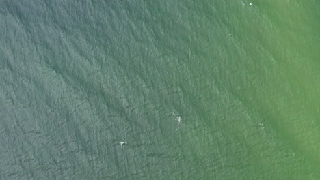 AERIAL:-Top-View-of-Dark-Green-Colour-Sea-with-Waves-Rippling