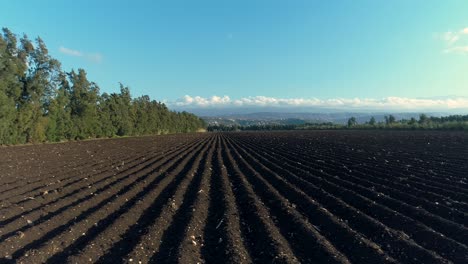 Vast-black-soil-crop-field-on-sunny-day,-farm-background,-sideway-aerial-drone