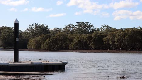 Moona-Moona-creek-Jervis-Bay-entrance-in-Huskisson-Australia-with-boat-dock,-Handheld-stable-shot