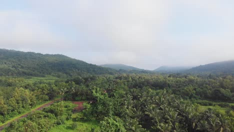 Dschungel-Drohnenaufnahme-Des-Kokosnussbaums-Von-Maharashtra,-Konkan,-Indien
