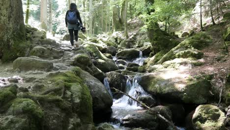 Woman-Hiking-on-a-Trail-along-a-Stream-at-the-Gertelbacher-Waterfalls-in-the-Black-Forest,-Germany