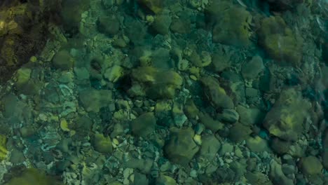 Meeresboden-Mit-Steinen-Und-Kieselsteinen-Unter-Klarem,-Transparentem-Meerwasser,-Das-Den-Sonnenschein-Reflektiert