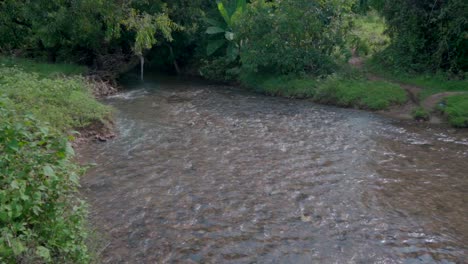 Kleiner-Fluss-Mit-Klarem-Wasser,-Der-Durch-Den-Dschungel-Fließt