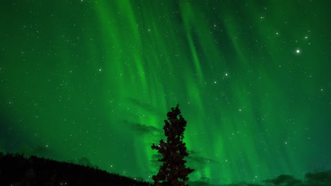 Opener-video-of-northern-lights-apt-for-travel-videos,-intros,-flyby-videos-or-blog-videos