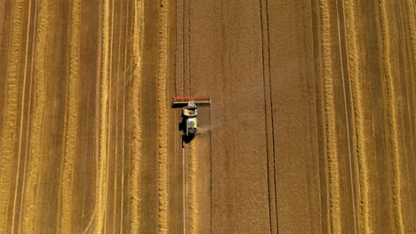 Top-View-Of-A-Combine-Tractor-Harvesting-On-The-Golden-Field-In-Puck,-Poland---aerial-drone