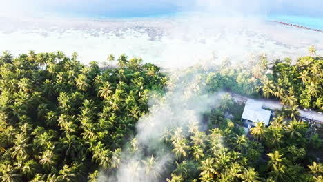 Smoke-coming-out-of-an-island-forest-drone-shot