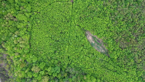 Fly-over-drone-shot-revealing-the-small-lake-in-the-middle-of-the-trees