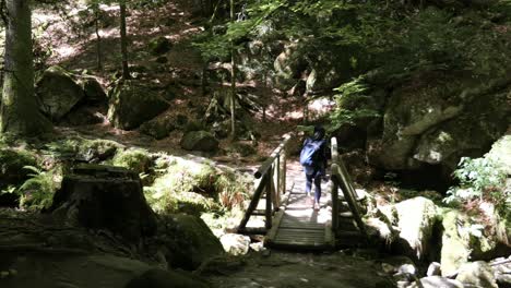 Woman-Hiking-on-a-Trail-over-a-Small-Wooden-Bridge-at-the-Gertelbacher-Waterfalls-in-the-Black-Forest,-Germany