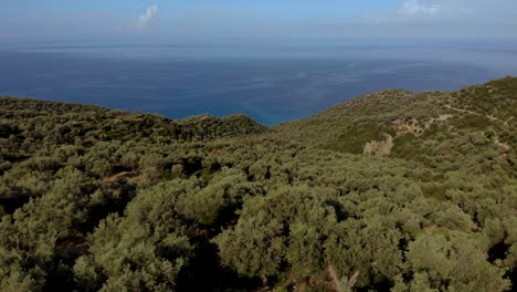 Olive-trees-above-endless-blue-sea-and-bright-sky-on-a-summer-day-in-Mediterranean