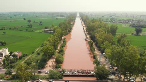 Drone-view-of-muddy-river-flowing-in-the-middle-of-trees-nearby-farming-area-in-Punjab-Province