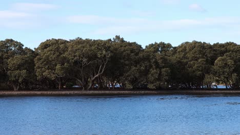 Huskisson-Australien-Moona-Moona-Creek-Mit-Lorbeerbäumen-In-Der-Nähe-Des-Eingangs-Von-Jervis-Bay,-Gesperrte-Aufnahme
