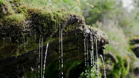 Water-Flowing-Down-By-The-Mossy-Rock-Deep-In-The-Forest