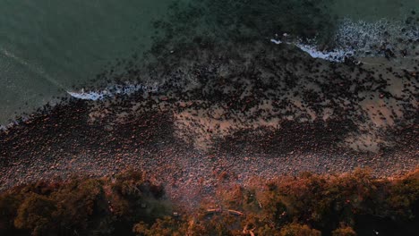 Felsiges-Strandufer-Mit-Plätschernden-Wellen---Sonnenaufgang-Im-Noosa-Nationalpark---Sunshine-Coast,-Brisbane,-Queensland,-Australien