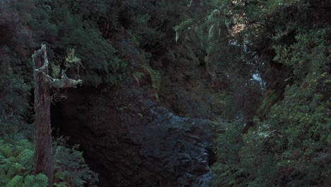Stimmungsvolle-Landschaft-In-Einer-Waldschlucht,-Die-Stromschnellen-Offenbart,-Die-Flussabwärts-Fließen,-Drohne