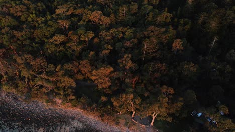 Sonnenuntergang---über-Dem-Rand-Des-Noosa-Nationalparks---Queensland,-Australien