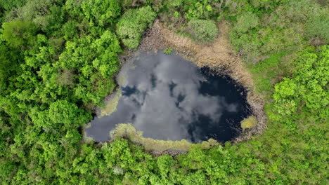 Aerial-of-a-small-lake-surrounded-dense-green-forest