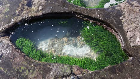 Tidepool-carved-in-the-stone-shore-at-Cave-Beach-in-Jervis-Bay-Australia-with-wave-washing-it,-Locked-looking-down-shot