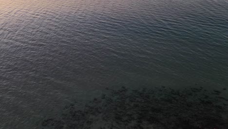 Clear-transparent-waves-of-the-Sunshine-Coast---Queensland-Australia