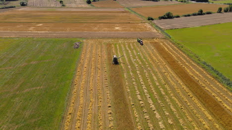 Combine-Harvester-works-with-Tractor-in-Golden-Field-as-Birds-Fly-Over,-Drone-Aerial