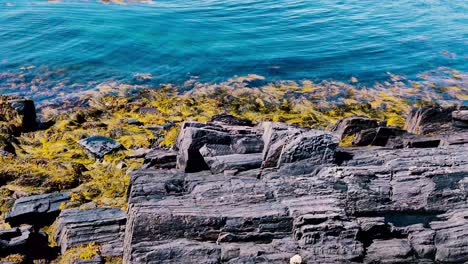 Granite-rocks-with-seaweed-at-low-tide-in-Mackerel-Bay,-Harpswell,-Maine-4K