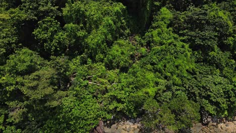 drone-vertical-tilt-shot-of-jungle-tracking-down-to-reveal-rocky-coast-line-and-ocean