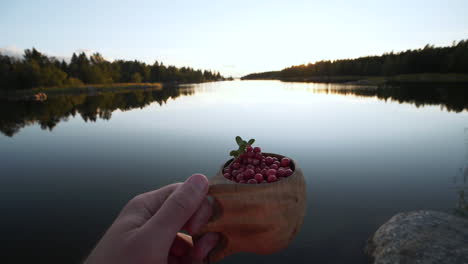 POV-shot-of-Lingonberries-in-wooden-cup-at-clean-lake-in-Northern-Europe