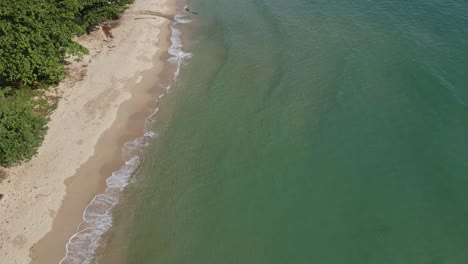 Drohnen-Luftdschungel-Trifft-Strand-Mit-Kleinen-Wellen,-Die-Auf-Den-Sand-Krachen