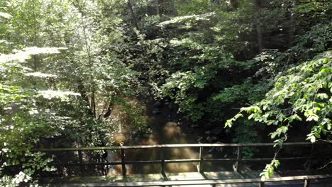 Leere-Brücke-über-Einen-Kleinen-Bach-Inmitten-Eines-Grünen-Waldes-An-Einem-Sonnigen-Tag,-Aufsteigender-Drohnenschuss