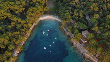 Boote-Auf-Dem-Flachen-Blauen-Meer-Rund-Um-Die-üppige-Tropische-Insel-Losinj-In-Kroatien-An-Einem-Sommermorgen---Luftdrohne-Neigt-Sich-Nach-Unten