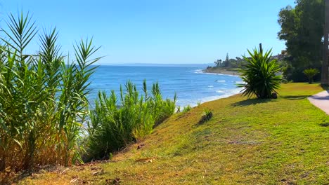 Beautiful-holiday-destination-blue-sky-and-sea-view-with-palm-trees-and-green-grass-in-Marbella-Estepona,-Spain,-4K-tilting-up