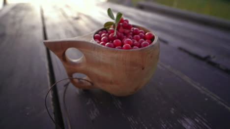 Superfood-lingon-berries-from-Lapland,-Finland