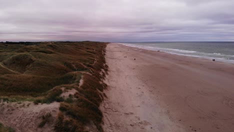 Aerial-of-almost-empty-Danish-sand-beach-and-dunes-while-seagulls-fly-around-on-a-cloudy-summer-evening