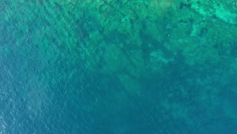 Aerial-top-down-view-of-crystal-clear-turquoise-water-filmed-in-4k-in-Dalmatia,-Croatia-flying-from-right-to-left