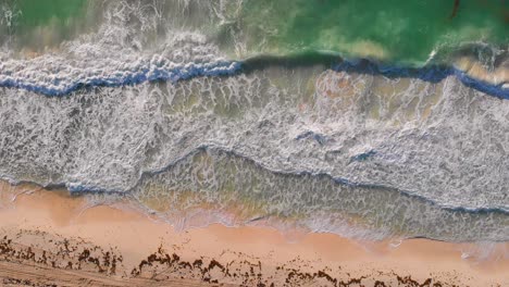 Tropical-turquoise-sea-waves-crashing-on-the-golden-beach-sand-with-seaweed-during-sunrise---4K-Drone-aerial-top-down-view