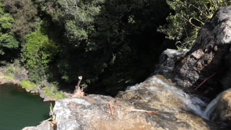 Wasser-Fließt-über-Felsen-Bei-Whangarei-Falls,-26-M-Zum-Fluss-Hatea,-Umgeben-Von-Grünen-Bäumen-Unten,-Neuseeland
