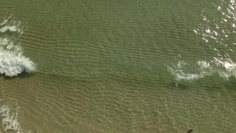 Aerial-tilt-panning-shot-of-clear-ocean-waves-breaking-slowly-on-the-beach