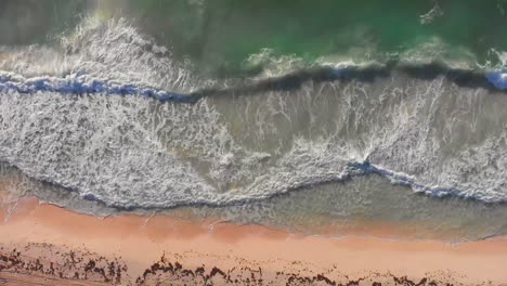 Tropical-turquoise-sea-waves-crashing-on-the-golden-beach-sand-with-seaweed-during-sunrise---4K-Drone-zooming-out,-top-down-view