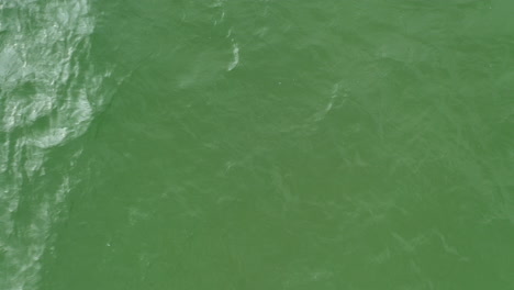 AERIAL:-Close-Up-Top-View-Shot-of-Waves-Crashing-on-the-Surface-of-Green-Sea