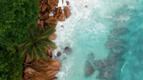 Palmen-Und-Felsen-Der-Seychellen