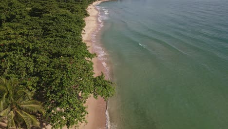 Aerial-shot-of-jungle-and-palm-tree-with-long-white-sand-beach-with-small-ocean-waves-breaking-on-the-sand