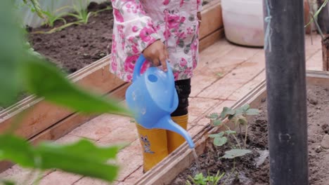 Tiny-toddler-watering-plants-at-a-early-age