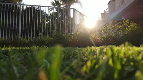 grass-in-yard-of-home-establishing
